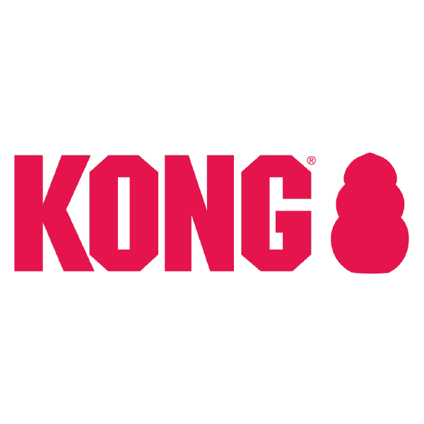 kong company