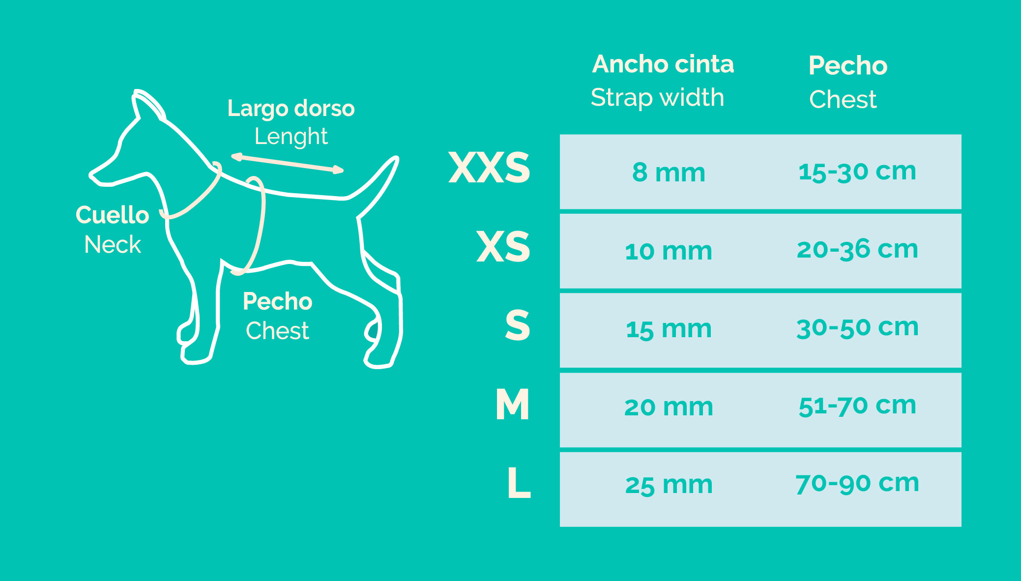 Arnés de paseo Nylon Basic, Freedog - Imagen 6