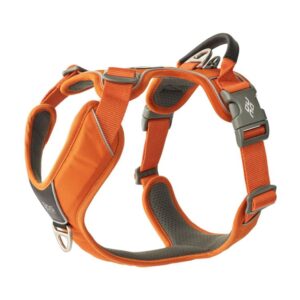 Arnés Confort Walk Pro, Dog Copenhagen