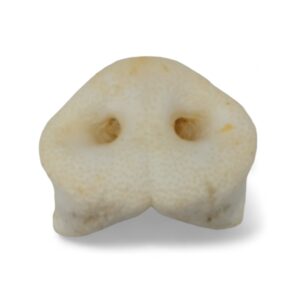 Snack Morro de Cerdo | Alto en Proteínas y Bajo en Grasa