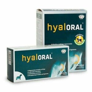 Condroprotector Hyaloral®: Máxima eficacia.