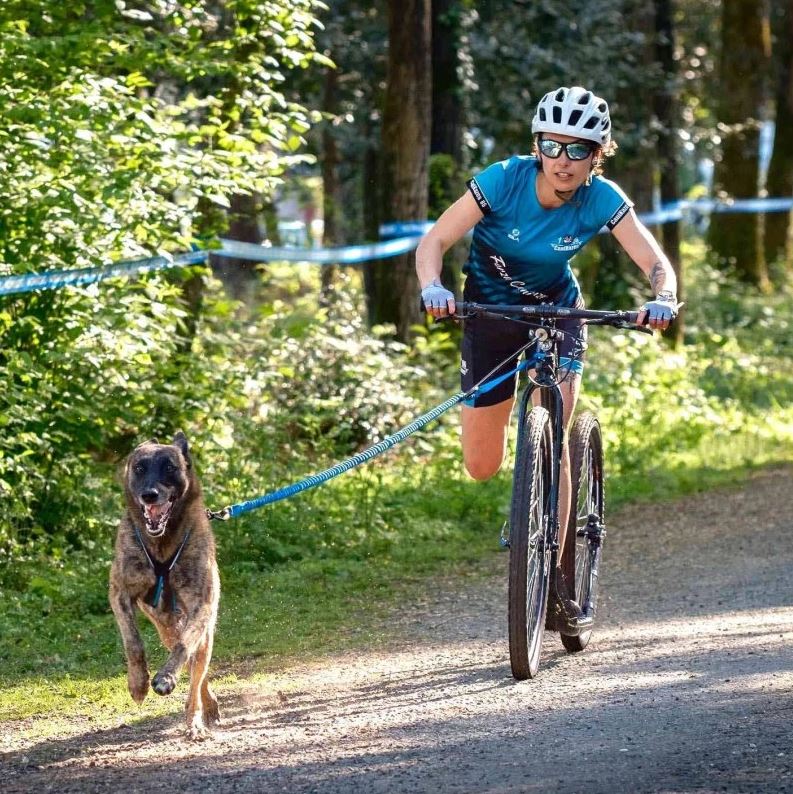 Línea bikejoring: Bikejor Pro – ultraligera, segura y de alto rendimiento - Imagen 5