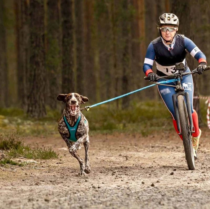 Línea bikejoring: Bikejor Pro – ultraligera, segura y de alto rendimiento - Imagen 6