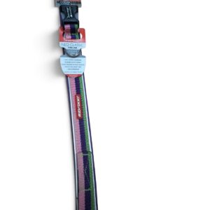 Ezydog Neoclassic collar S,  longitud 34 - 38 cm	 30 mm