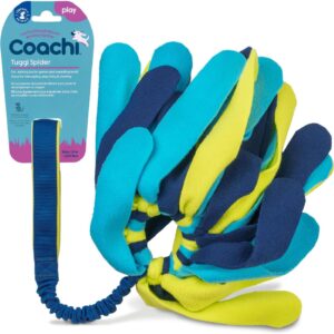 Coachi tuggi spider